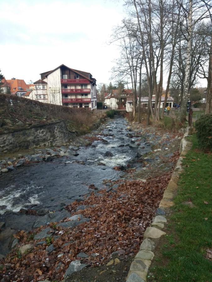Ferienwohnung Malia In Waldnaehe Mit Schoenem Balkonausblick Bad Harzburg Kültér fotó