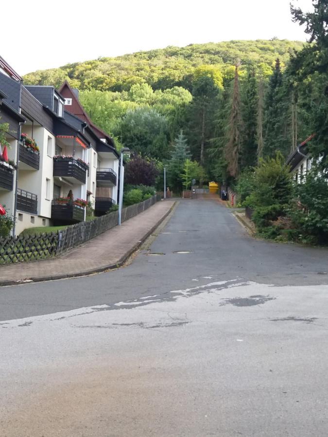 Ferienwohnung Malia In Waldnaehe Mit Schoenem Balkonausblick Bad Harzburg Kültér fotó