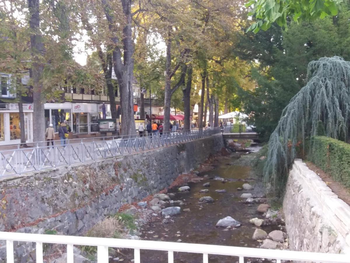 Ferienwohnung Malia In Waldnaehe Mit Schoenem Balkonausblick Bad Harzburg Kültér fotó