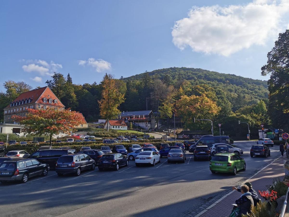 Ferienwohnung Malia In Waldnaehe Mit Schoenem Balkonausblick Bad Harzburg Kültér fotó
